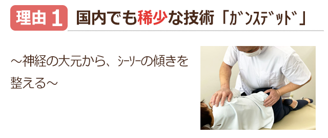理由1　国内でも稀少な技術ガンステッド。神経の大元から、シーソーの傾きを整える