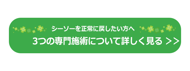 シーソーを正常に戻したい方へ　3つの専門技術について詳しく見るボタン